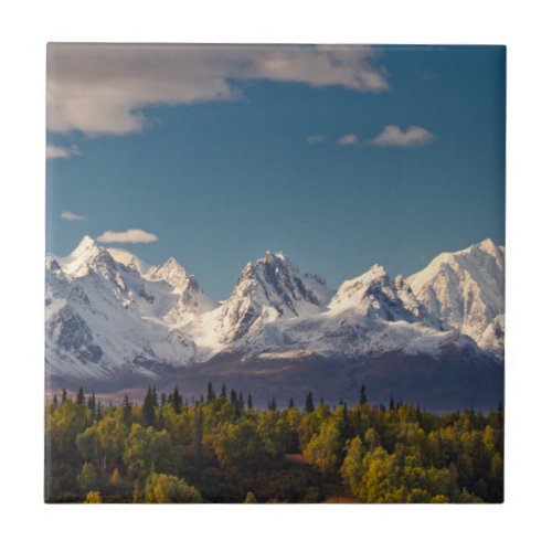 Mt McKinley  Alaska Ceramic Tile