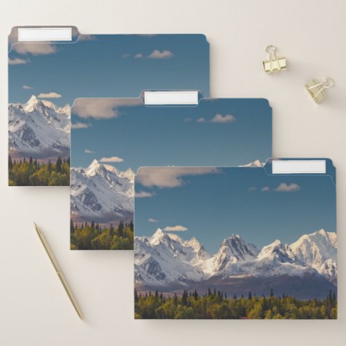 Mt McKinley  Alaska File Folder
