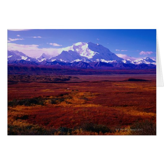 Mt. McKinley Cards (Front Horizontal)