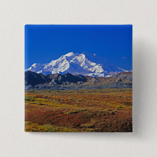 Mt . McKinley Denali National Park , Alaska. Button