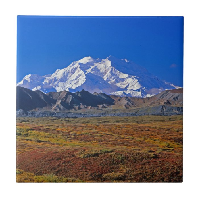 Mt . McKinley Denali National Park , Alaska Ceramic Tile | Zazzle.com