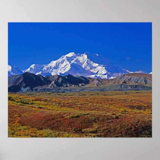 Mt . McKinley Denali National Park , Alaska. Poster | Zazzle.com