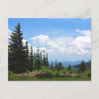 Mt. Mithcell State Park Postcard