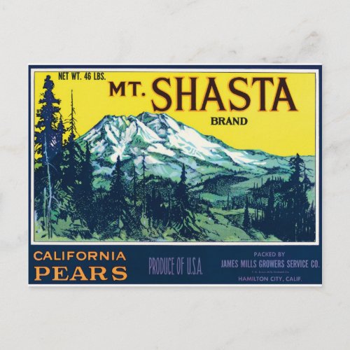 Mt Mount Shasta California CA Pears Vintage Label Postcard