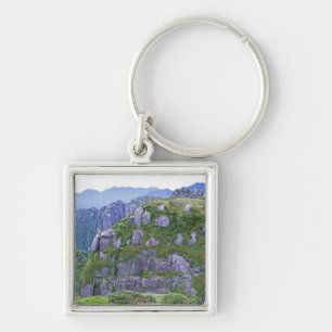 Mt. Nagata, Yakushima, Kagoshima, Japan Keychain