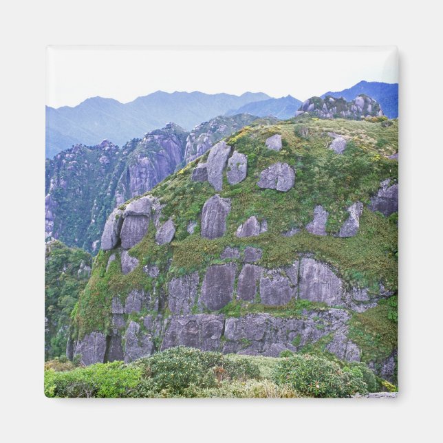 Mt. Nagata, Yakushima, Kagoshima, Japan Magnet (Front)