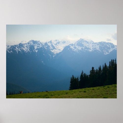 Mt Olympus Peaks at Hurricane Ridge Print