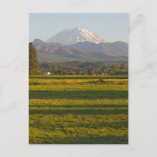 Mt. Rainier in Washington State Postcard