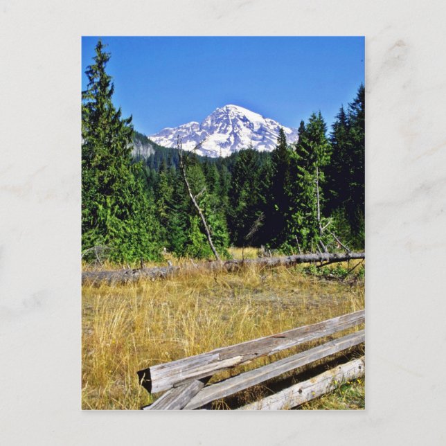 Mt. Rainier National Park Postcard (Front)