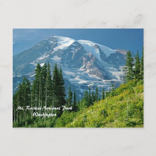 Mt Rainier National Park Postcard