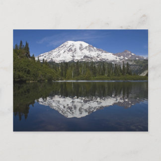 Mt. Rainier Postcard