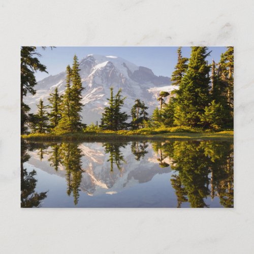 Mt Rainier reflected in a tarn near Plummer Peak Postcard