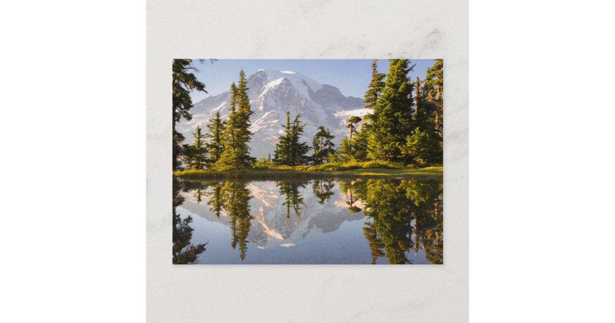 Mt. Rainier reflected in a tarn near Plummer Peak Postcard Zazzle