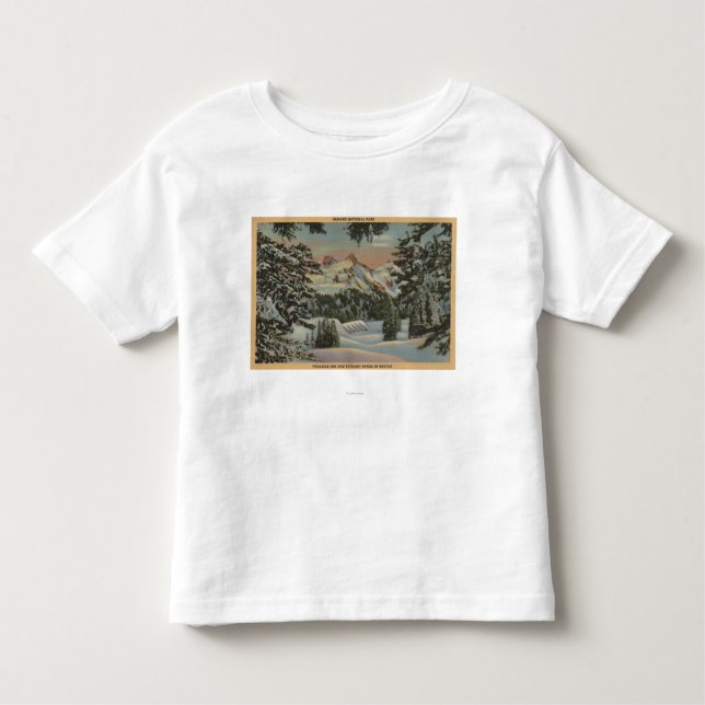 Mt. Rainier, WA - Paradise Inn & Tatoosh Range Toddler T-shirt (Front)