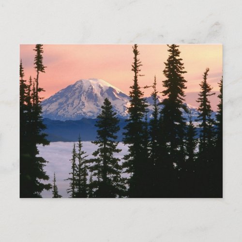 Mt Ranier Washington Postcard