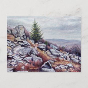 Mt. Rogers Postcard by mlmmlm777art at Zazzle