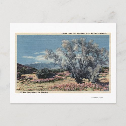 Mt San Gorgonio View Smoke Trees Postcard