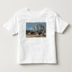 Mt. San Gorgonio View, Smoke Trees Toddler T-shirt