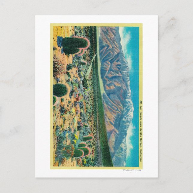 Mt. San Jacinto from Devil's Garden Postcard (Front)