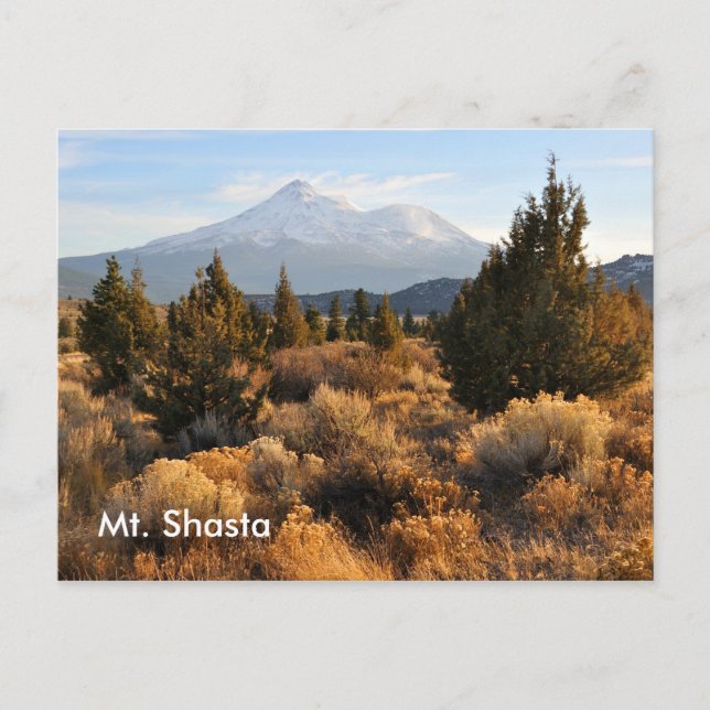 Mt. Shasta in the Fall Postcard (Front)
