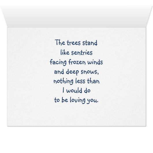 Mt. Shuksan, facing storms together (Inside Horizontal (Bottom))