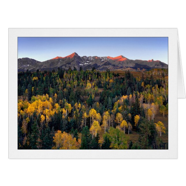 "Mt. Sneffel - Dallas Divide Road" Cards (Front Horizontal)