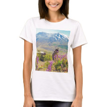 Mt. St. Helens