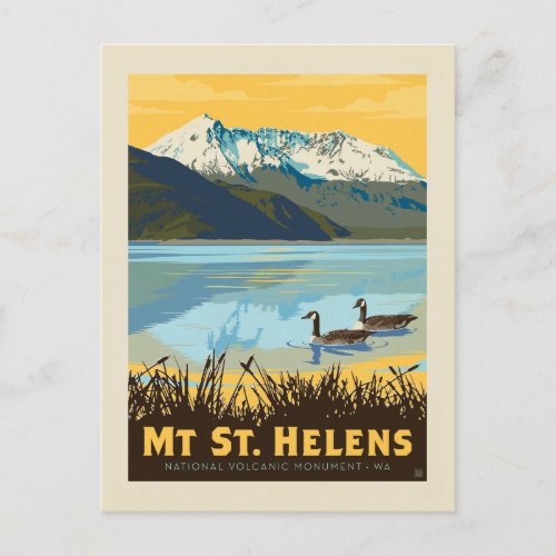 Mt St Helens  Washington Postcard