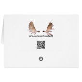 Mt. Susitna Cards (Back Horizontal)