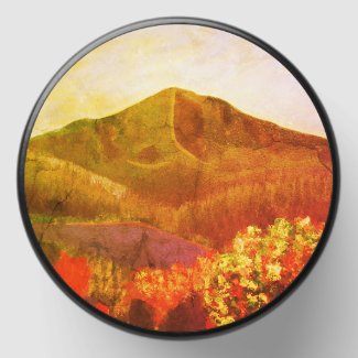 Mt Tamalpais Autumn Splendor