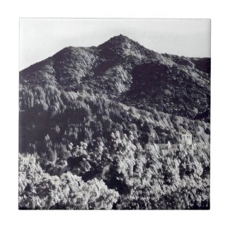 Mt Tamalpais Ceramic Tile