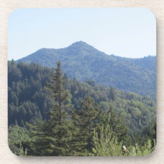 Mt Tamalpais Coasters