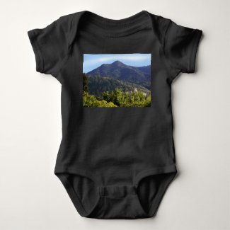 Mt Tamalpais Marin County California