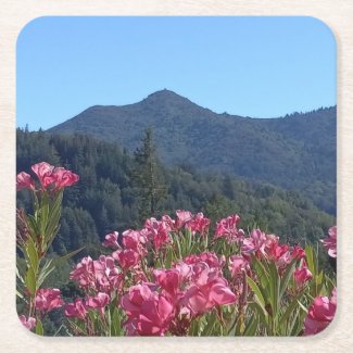 Mt Tamalpais with Pink Flowers