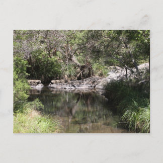 Mt Tamborine #3 Postcard