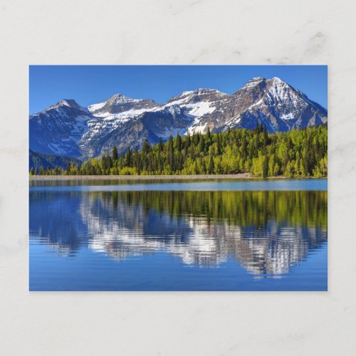 Mt Timpanogos Reflected In Silver Lake Flat Postcard