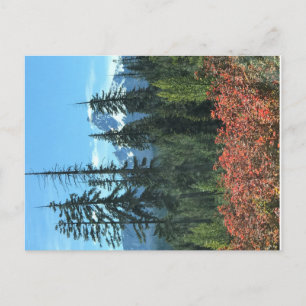 Mt. Washington in Autumn, OR Postcard