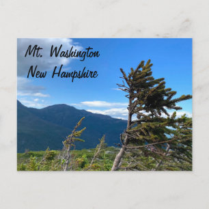 Mt. Washington, NH Postcard