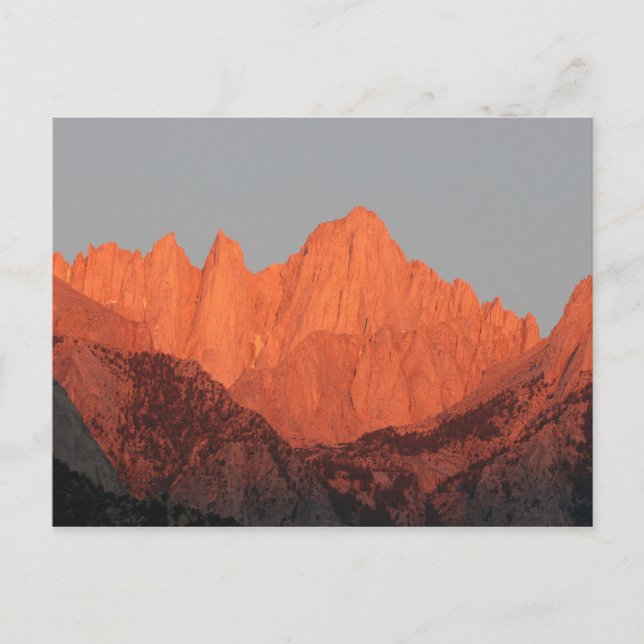 Mt. Whitney at Dawn... Postcard (Front)