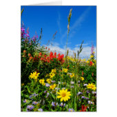 Mt. Wildflowers (Front)