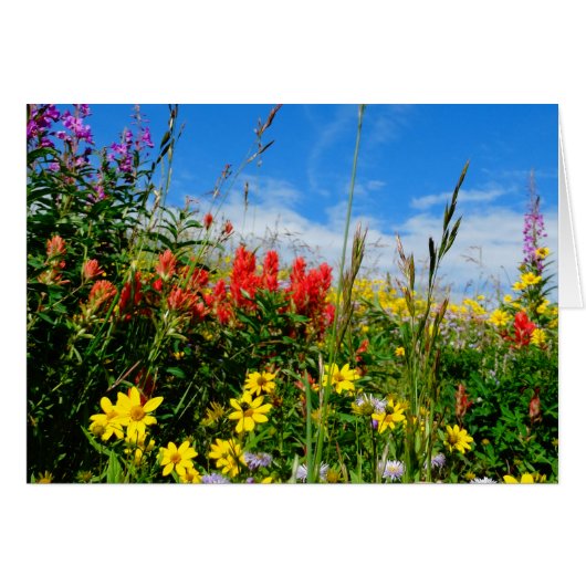 Mt. Wildflowers (Front Horizontal)