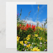Mt. Wildflowers (Front/Back)