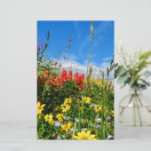 Mt. Wildflowers (Standing Front)