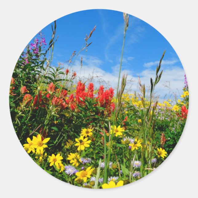Mt. Wildflowers Classic Round Sticker (Front)