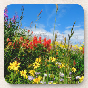 Mt. Wildflowers Coaster