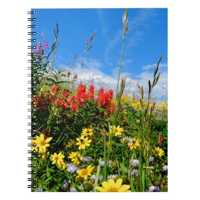 Mt. Wildflowers Notebook (Front)
