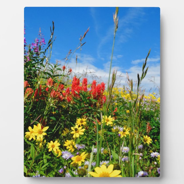 Mt. Wildflowers Plaque (Front)