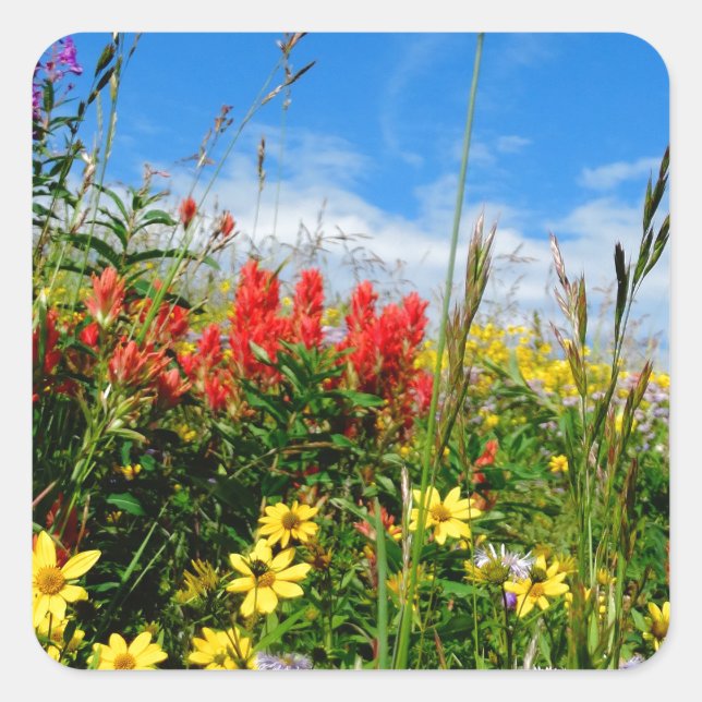 Mt. Wildflowers Square Sticker (Front)