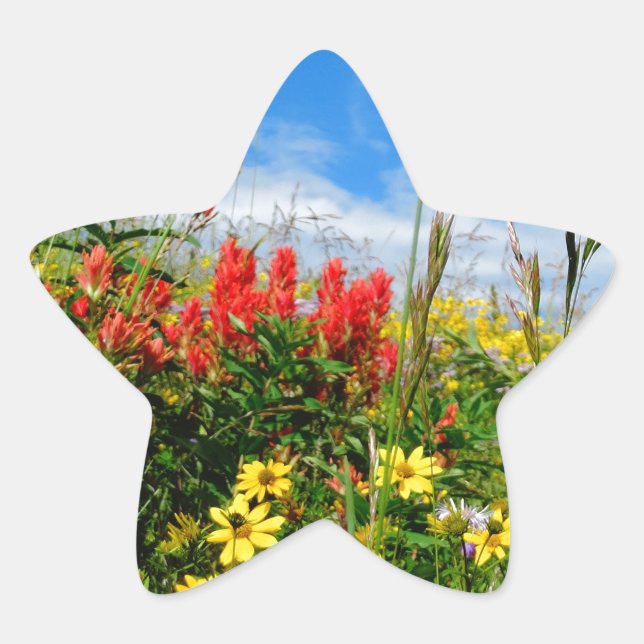 Mt. Wildflowers Star Sticker (Front)