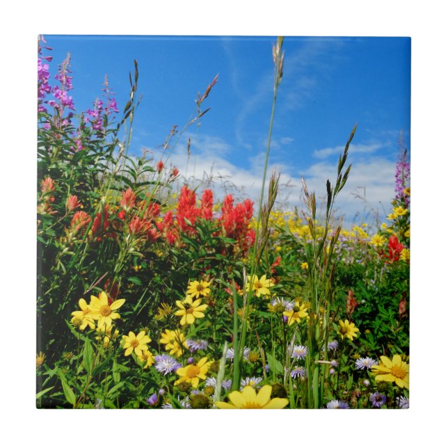 Mt. Wildflowers Tile (Front)